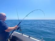 Fine mix of fishing in fine weather out of Cork Harbour Jim playing a shark