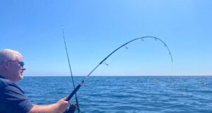 Jim playing a shark
