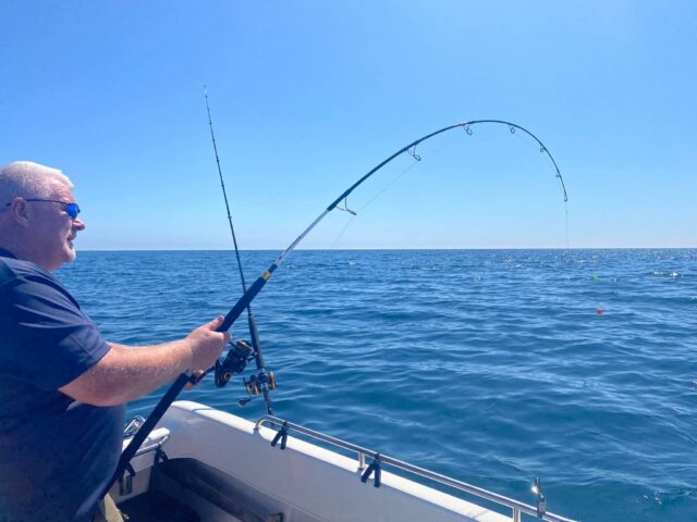 Jim playing a shark