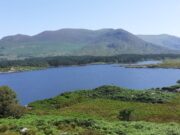 Good grilse, some sea trout but lots of wind on Currane Lough Currane 19 July 2021