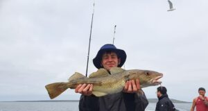 Cod and pollack aplenty in Galway Bay
