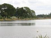 Feedermasters fishes well on Muckno