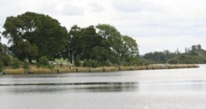 Feedermasters fishes well on Muckno
