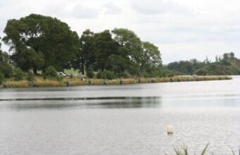 Feedermasters fishes well on Muckno