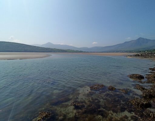 Irish Angling Update – 30 July 2021