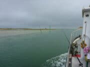 Pollack, cod and ling aplenty in Killala Bay