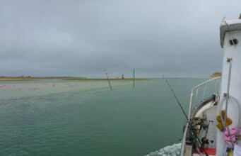 Pollack, cod and ling aplenty in Killala Bay