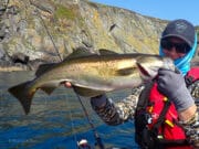 West Cork Bass, Pollack and more on the Kayak Pollack
