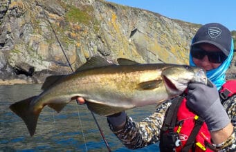 West Cork Bass, Pollack and more on the Kayak Pollack