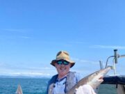 Fine Tope from Dundalk Bay