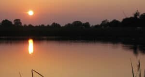 Irish Angling Update – 23 July 2021