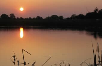 Irish Angling Update – 23 July 2021