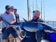 Dutch anglers enjoy a great week of fishing at Courtmacsherry Shark