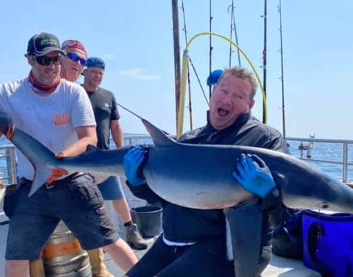 Shark