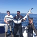 blue shark Kiwi Girl