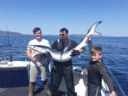 Plenty Blues for Kiwi Girl in Mullaghmore