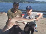 Young angler bags a great Tope on first try in Donegal