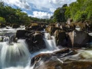 Irish Angling Update – 2 July 2021