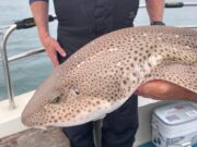 East coast angling bonanza