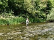 fly casting on the Nore
