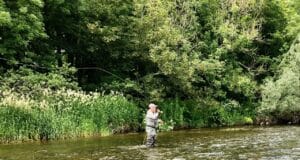 fly casting on the Nore