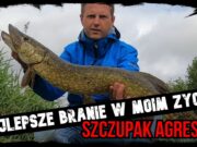 Great pike action from Royal Canal