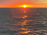 Courtmacsherry Angling get serious congers, blues and more in the dark suset
