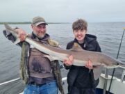 Good tope fishing in Sligo Bay