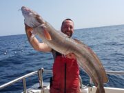 Albacore tuna and specimen ling for anglers out of Courtmacsherry