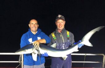 Sharks in the dark on Loch an Iasc Blue shark