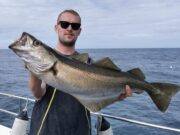 Tide change brings fish back on the feed in Wicklow
