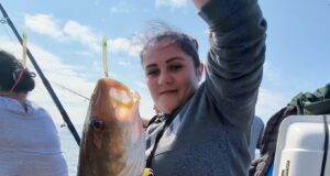 Cod, ling & pollack aplenty for anglers in Sligo
