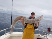 Specimen shark and ling for anglers out of Courtmacsherry