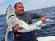 Blues and ‘beagles by the dozen aboard the Brazen Hussy II