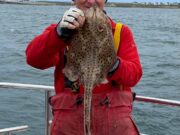 Great variety and plenty of shark action too in Clare