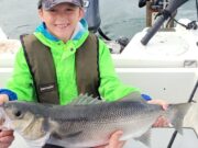 Young anglers doing well on Cork Harbour bass
