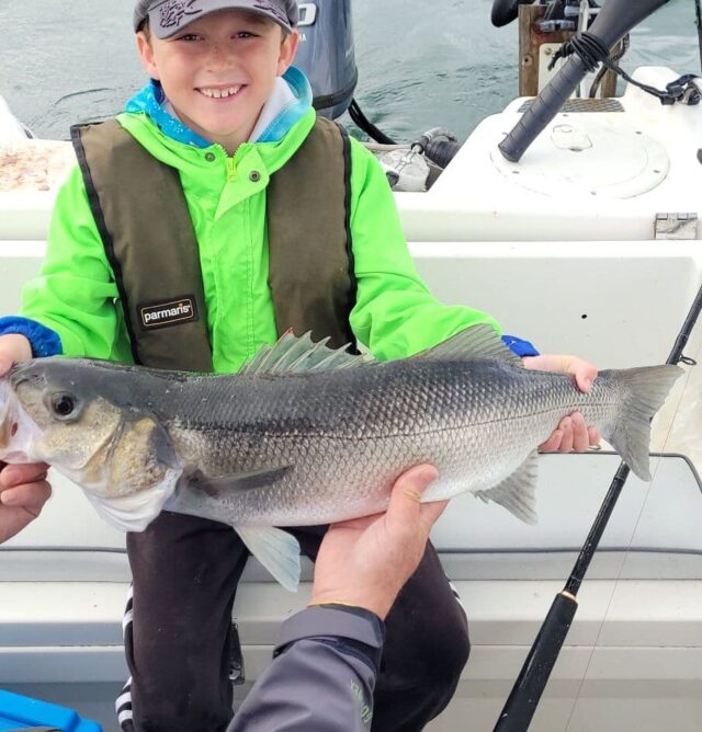 bass