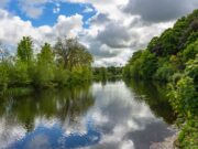 Irish Angling Update – 6 August 2021 The River Nore