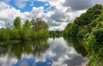 Irish Angling Update – 6 August 2021 The River Nore