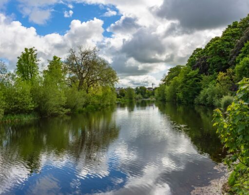 Irish Angling Update – 6 August 2021 The River Nore