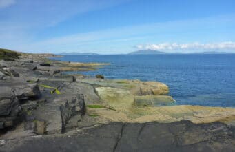 Irish Angling Update 27 August 2021