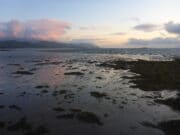 Irish Angling Update 10 September 2021