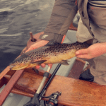 Ryan Leonard releasing a trout for just over 1.5 lbs. in Tolans Bay