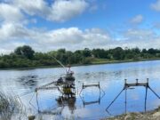Festival match weights exceed 100kg at two very different venues Lough Rynn