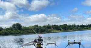 Festival match weights exceed 100kg at two very different venues Lough Rynn