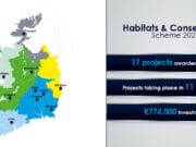 Over €770,000 awarded to 17 projects to support fisheries conservation across Ireland