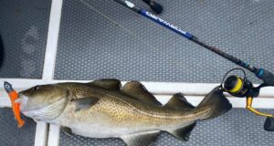 Cod