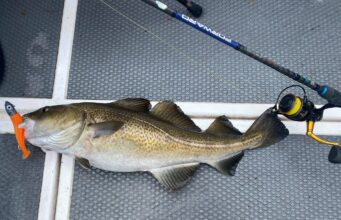 Cod