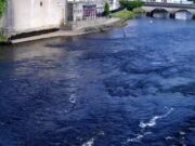 Over 6000 salmon recorded on the Moy so far!