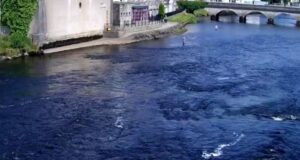 Over 6000 salmon recorded on the Moy so far!